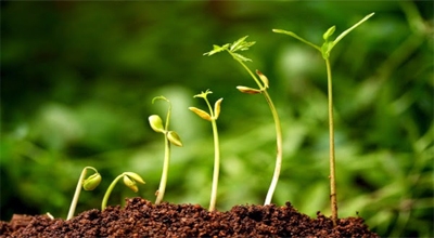 La Croissance Spirituelle